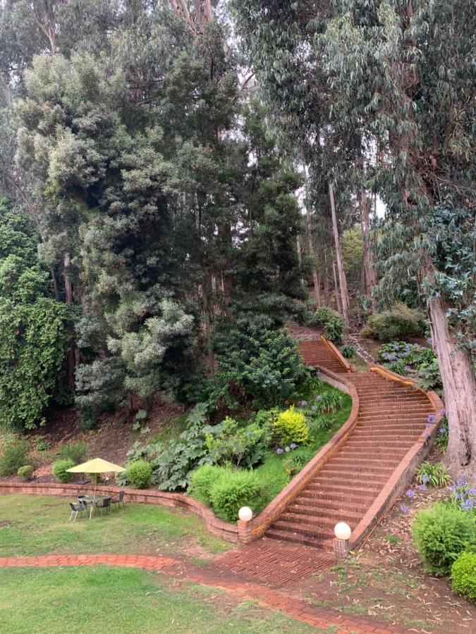 Hotel Bosque De Renaca Vina del Mar Exteriör bild