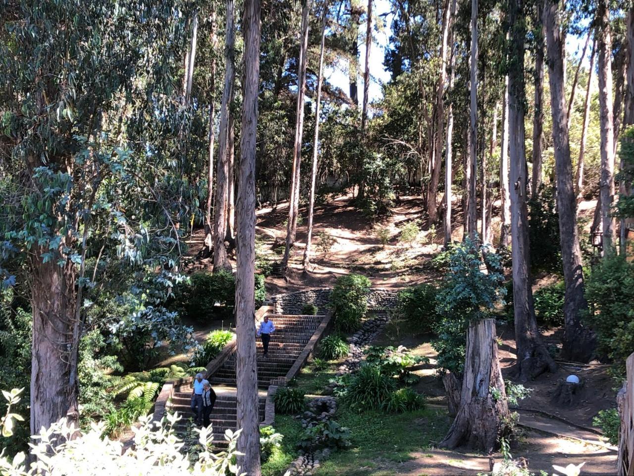 Hotel Bosque De Renaca Vina del Mar Exteriör bild
