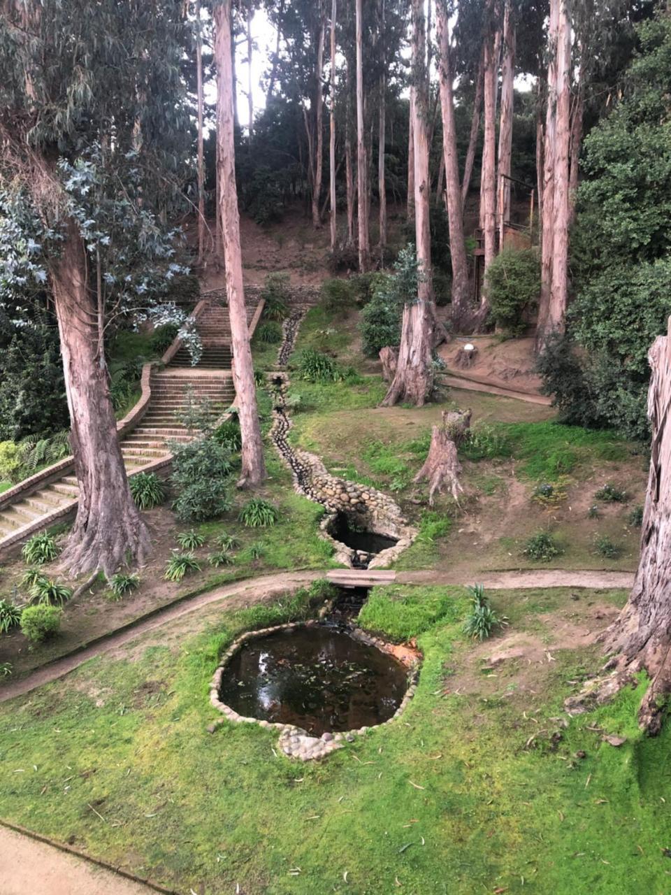 Hotel Bosque De Renaca Vina del Mar Exteriör bild